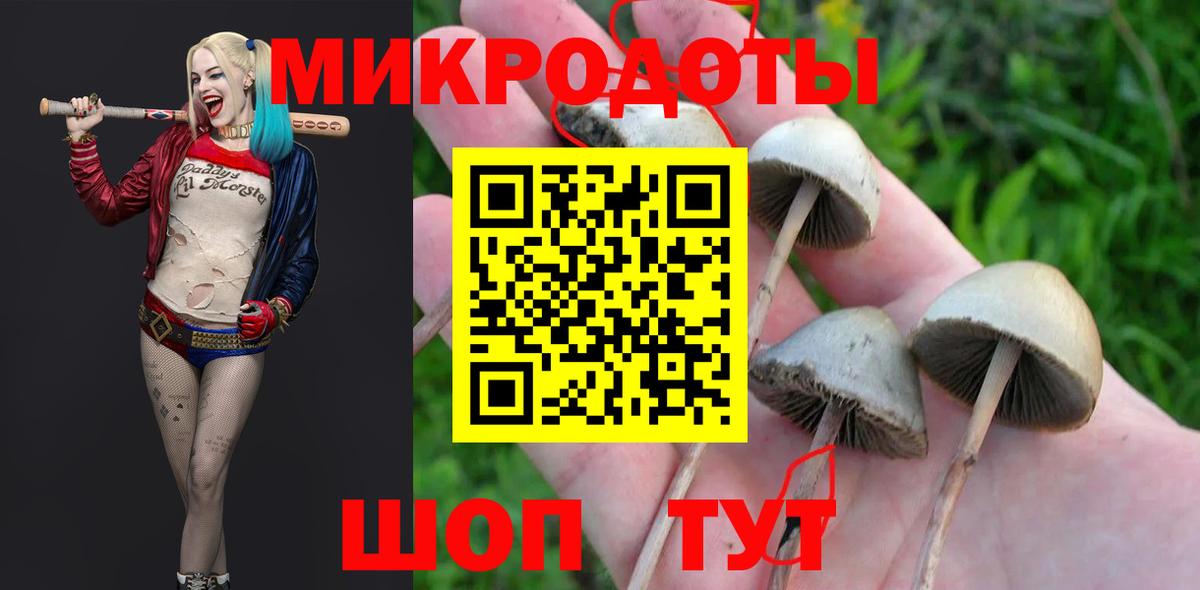 Заволжье  Псилоцибиновые грибы Magic Shrooms  Вход с VPN 
