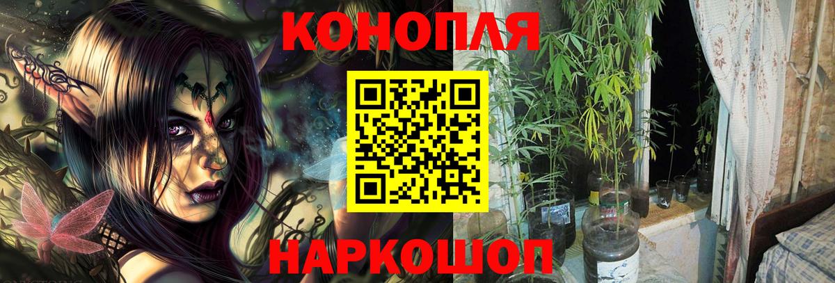 Бошки марихуана планчик Заволжье