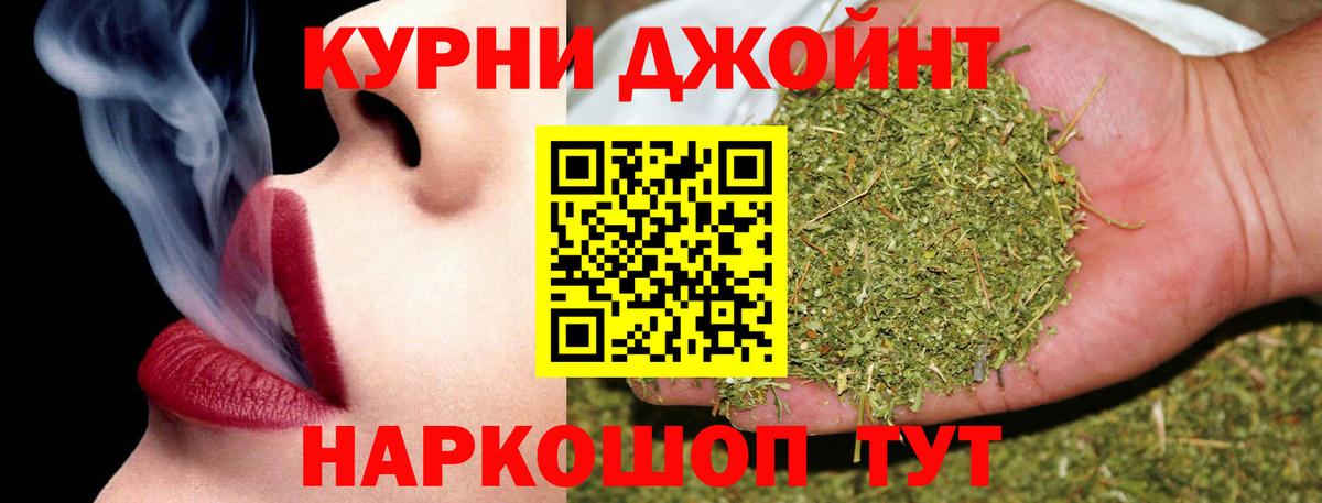 Заволжье  Марихуана OG Kush  Вход с VPN  Марихуана план 